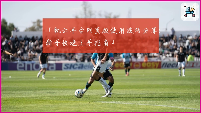「凯云平台网页版使用技巧分享：新手快速上手指南」